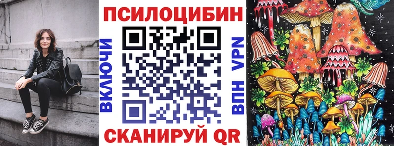 hydra вход  наркота  Белозерск  Галлюциногенные грибы Cubensis 
